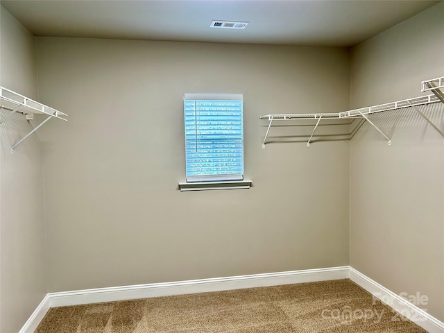 walk in closet featuring carpet floors and visible vents