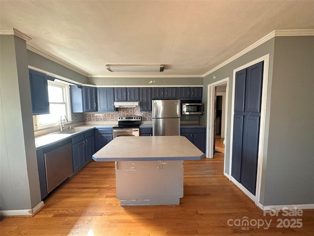 kitchen with light hardwood / wood-style floors, sink, a center island, and stainless steel appliances