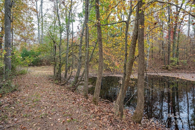 view of landscape with a water view