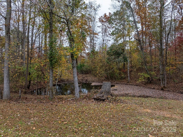 view of nature featuring a water view