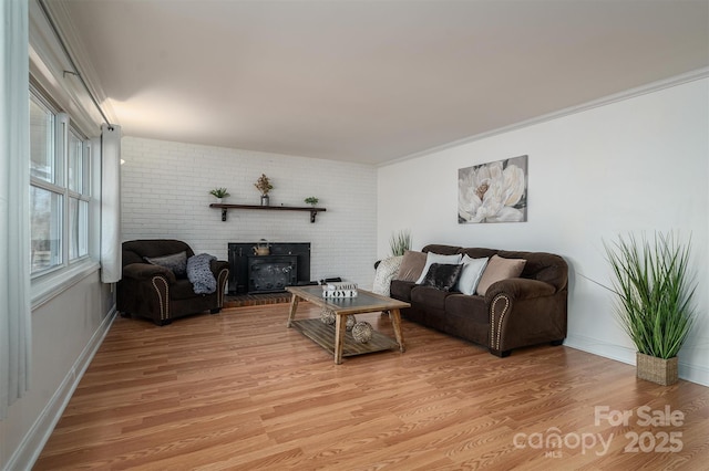 living room featuring light wood-type flooring and crown molding