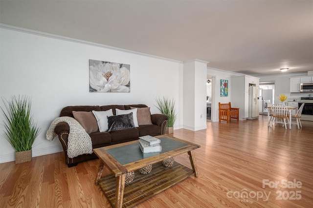 living room featuring light hardwood / wood-style flooring and crown molding