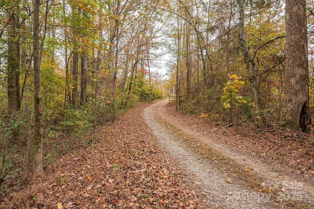 2073 Mauney Rd, Bessemer City, NC 28016 - photo 7