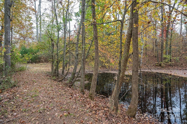 2073 Mauney Rd, Bessemer City, NC 28016 - photo 9