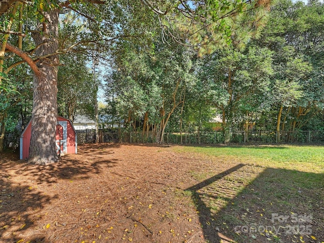 view of yard featuring a shed