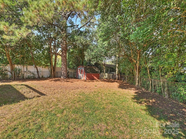 view of yard featuring a shed