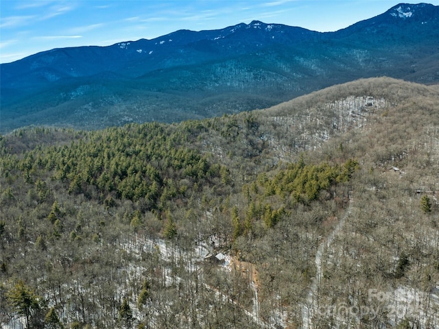 view of mountain feature