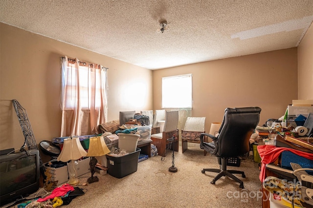 office space with plenty of natural light, carpet floors, and a textured ceiling