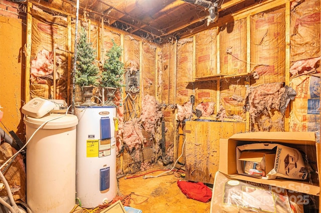 basement with electric water heater