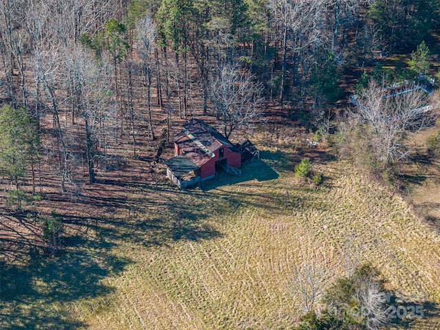 bird's eye view