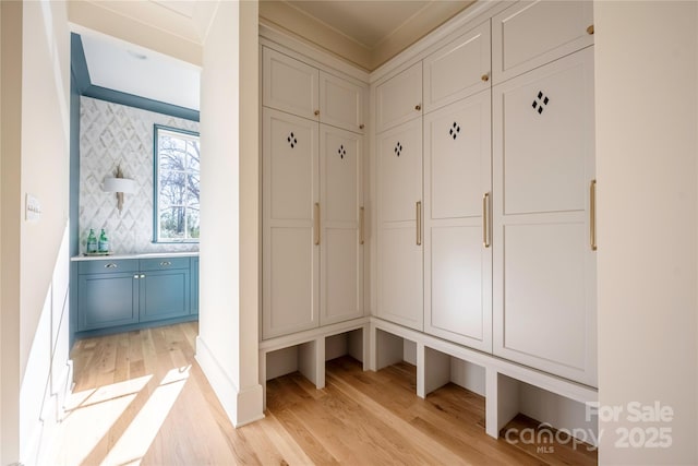 mudroom featuring light wood-type flooring