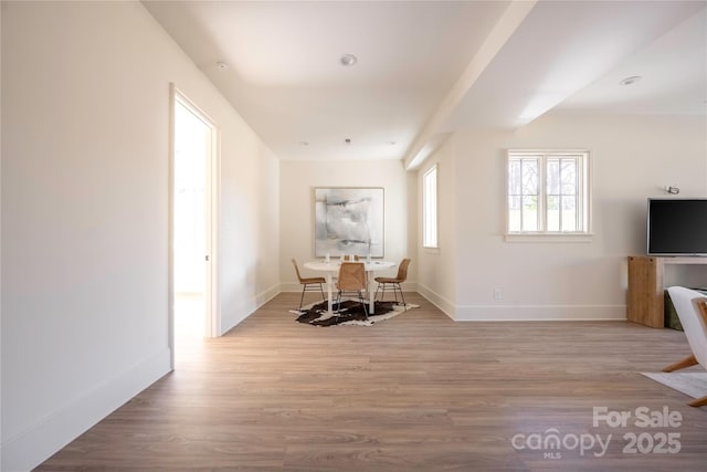 dining space featuring light wood-type flooring