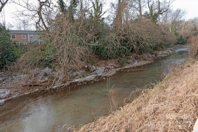 view of local wilderness