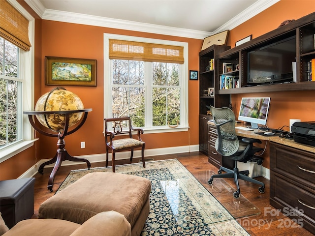 office area featuring hardwood / wood-style floors and ornamental molding