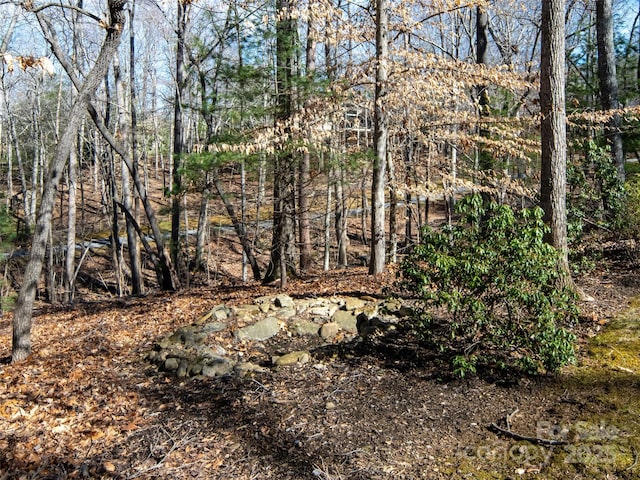 view of local wilderness