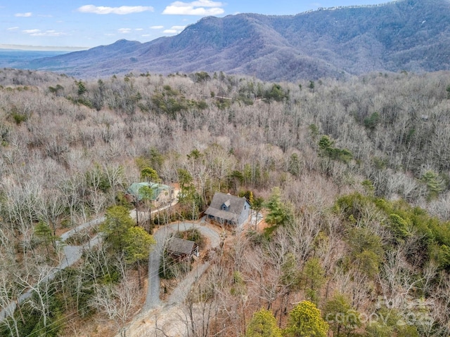 property view of mountains