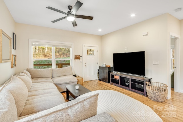 living room with ceiling fan and light hardwood / wood-style flooring