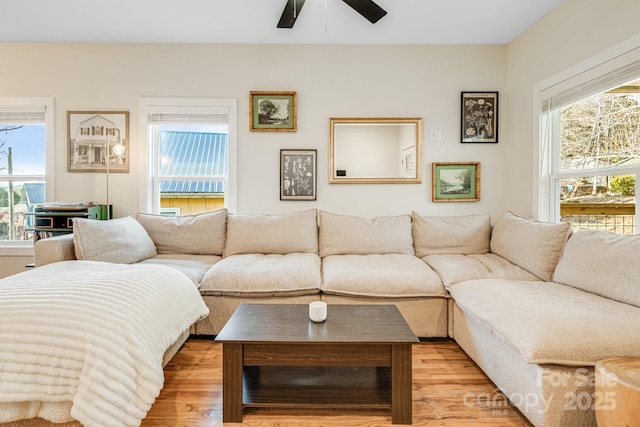 living room with ceiling fan and wood-type flooring