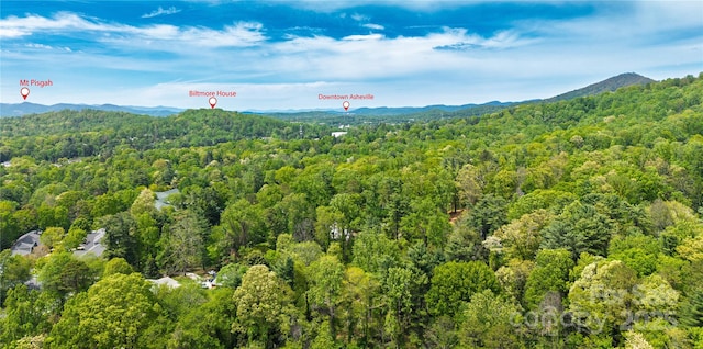 335 Rosscraggon Rd, Arden, NC 28704 - birds eye view of property featuring a view of trees and a mountain view