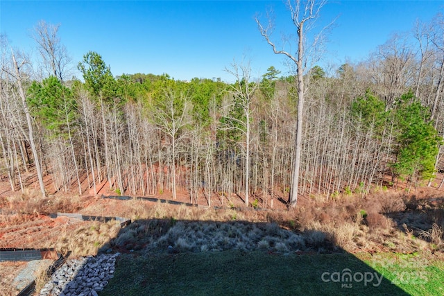 view of local wilderness with a wooded view