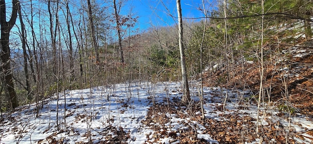 Listing photo 2 for LOT11 Bernies Trl, Waynesville NC 28785