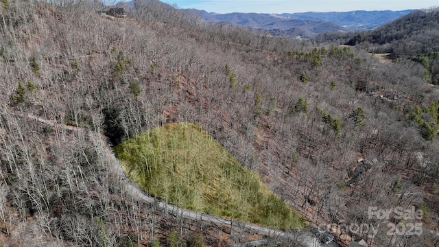 LOT11 Bernies Trl, Waynesville NC, 28785 land for sale