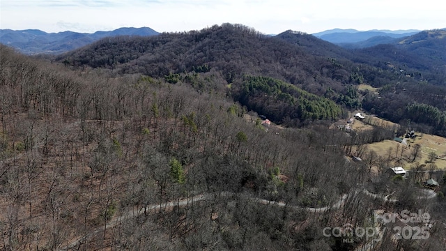 Listing photo 3 for LOT11 Bernies Trl, Waynesville NC 28785