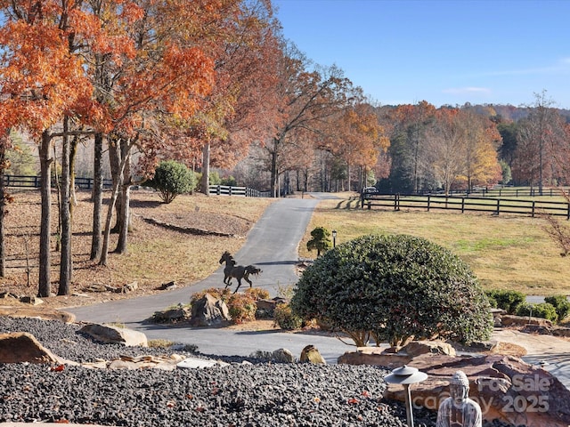 view of yard with a rural view