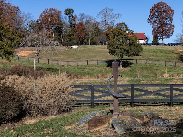 view of yard with a rural view