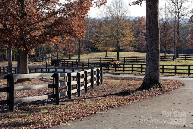 view of home's community with a rural view