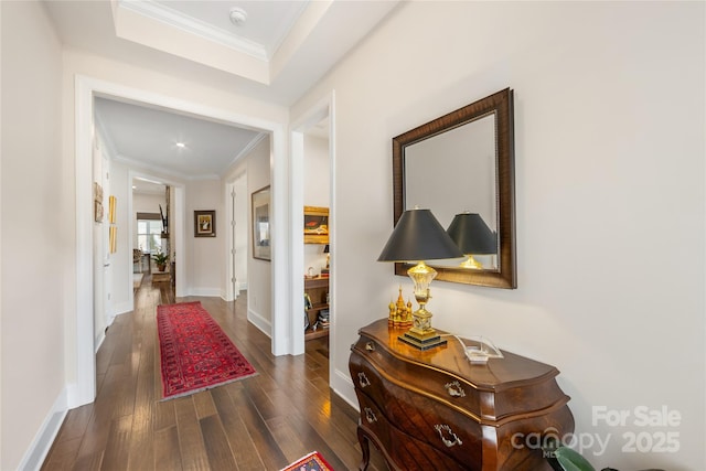 hallway with dark hardwood / wood-style flooring and crown molding