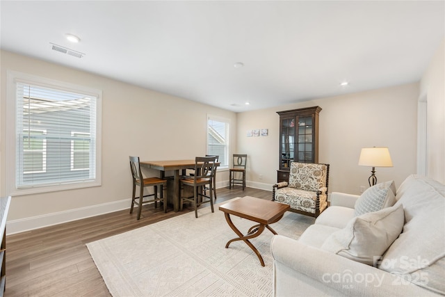 living room featuring hardwood / wood-style floors