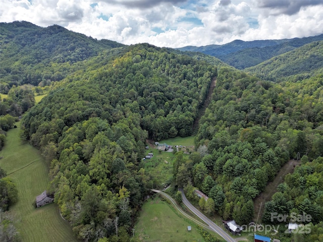 7385 Big Pine Rd, Marshall NC, 28753 land for sale