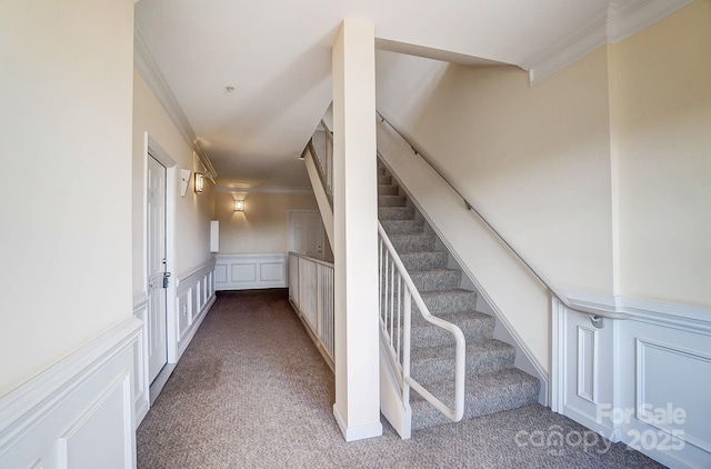 stairway featuring ornamental molding and carpet flooring