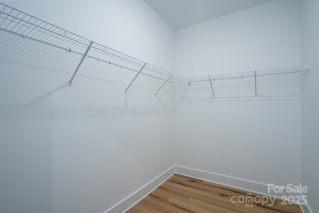 spacious closet featuring hardwood / wood-style floors