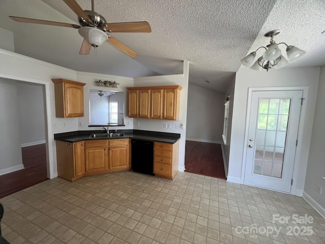 kitchen with dishwasher, lofted ceiling, sink, and a textured ceiling