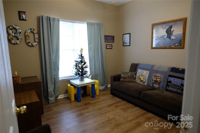 living room with a wealth of natural light and hardwood / wood-style floors