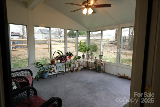 sunroom / solarium featuring ceiling fan and vaulted ceiling