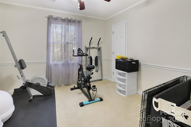 exercise room featuring ceiling fan, ornamental molding, and carpet floors