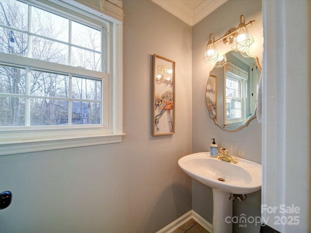 bathroom with sink, a wealth of natural light, and ornamental molding