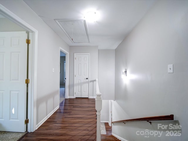 hall with dark hardwood / wood-style flooring