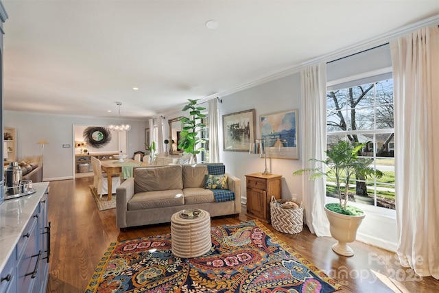 living room with dark wood-type flooring, ornamental molding, and an inviting chandelier