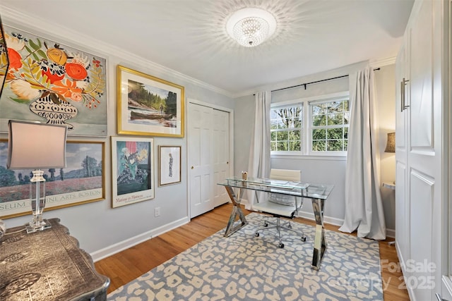 office space featuring hardwood / wood-style flooring and ornamental molding