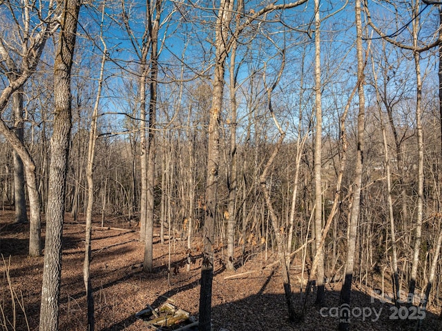 view of local wilderness