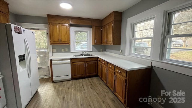 kitchen featuring sink, white appliances, plenty of natural light, and light wood-type flooring