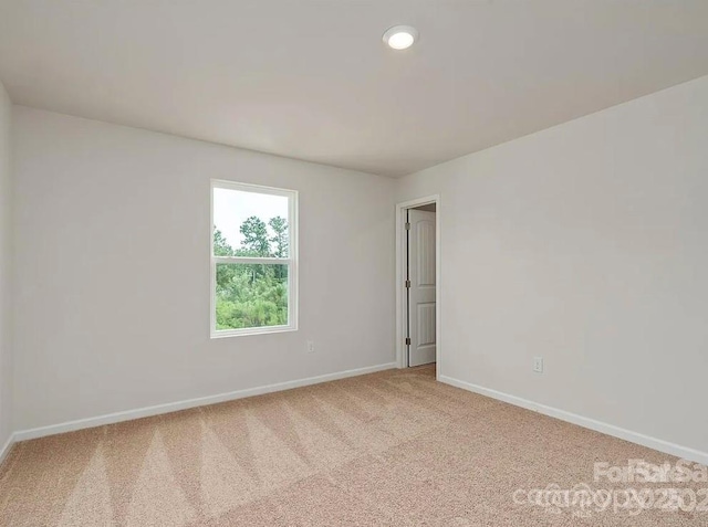 unfurnished room with carpet