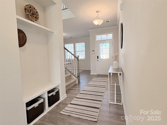 mudroom with dark wood-type flooring and ornamental molding