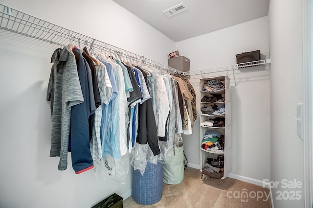 spacious closet featuring carpet flooring