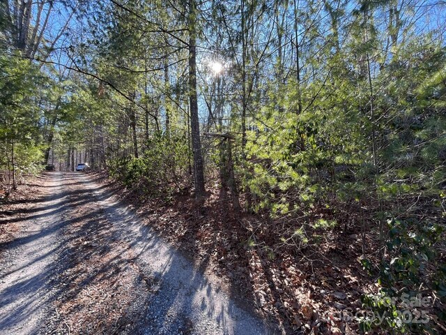 99999 R C Cole Ln Unit 4, Asheville NC, 28805 land for sale