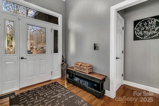 entrance foyer with hardwood / wood-style flooring